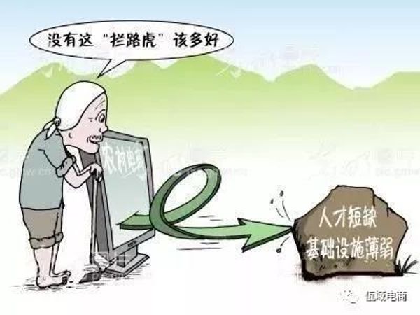 农村电商8