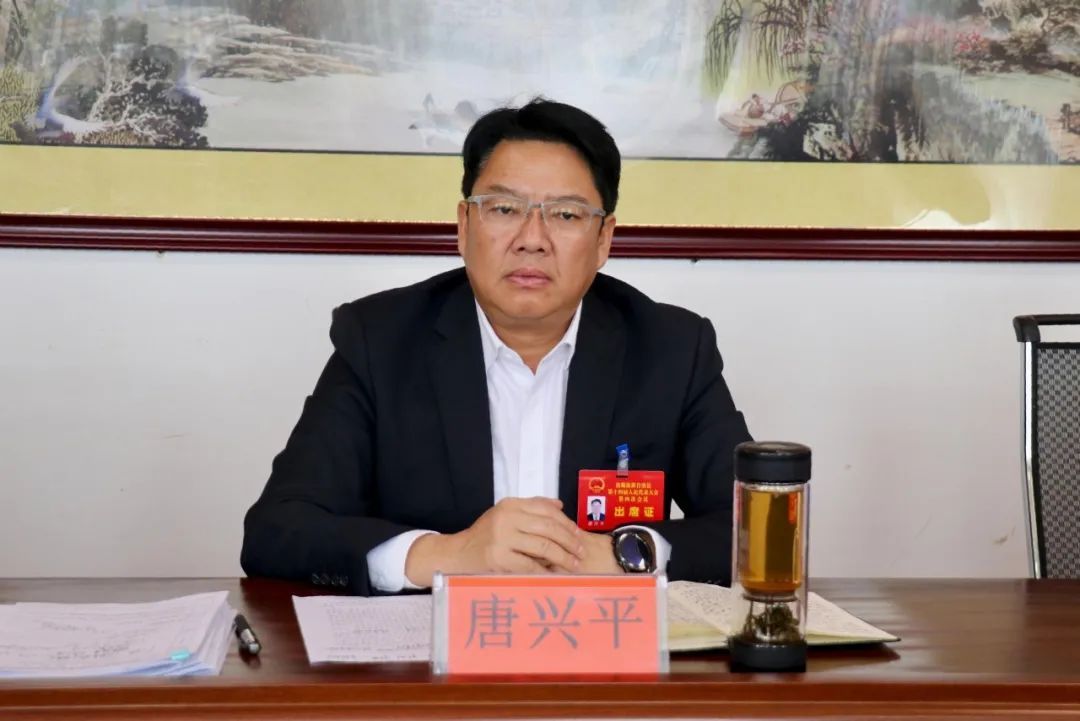聚焦县两会 | 唐兴平参加勐董镇代表团审议时强调：聚焦发展重点 增进民生福祉 为全县高质量发展贡献力量