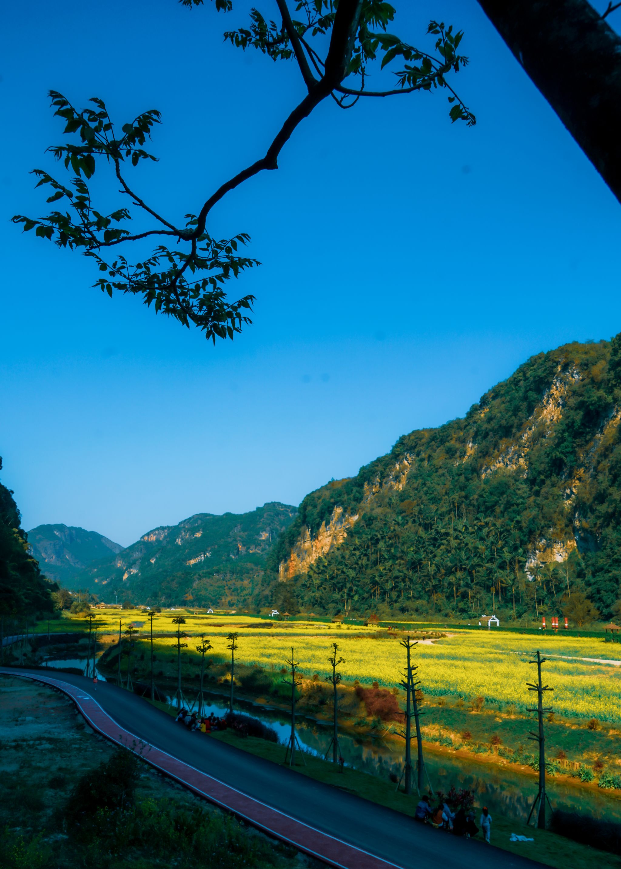 乡间美景