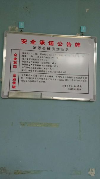 19747886348602852