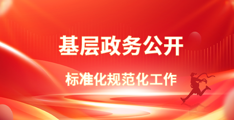 基层政务公开 标准化规范化工作