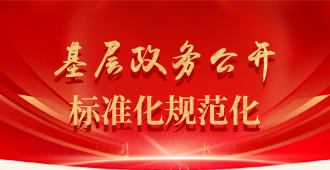 基层政务公开标准化规范化工作