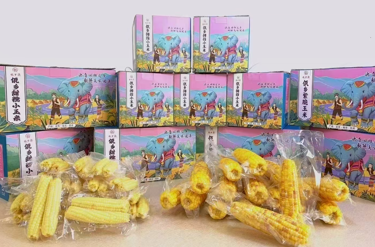 微信图片_20250325093745.png